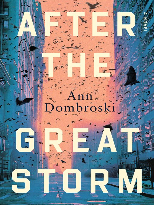 Title details for After the Great Storm by Ann Dombroski - Available